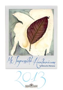 Calendario Villa dei Miti 2013 - Imposible Herbarium - Polaroid Impossible