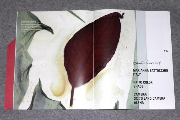 Marianna Battocchio Herbarium Impossible PX70 Instant Film