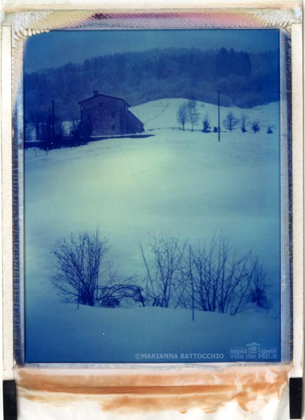 Polaroid-669-Monte-Grappa-Neve-Villa-Miti-Marianna-Battocchio