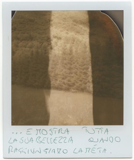 Ettore-Toniolo-Villa-Miti-Impossible-PX600-Silver-Shade-Polaroid-Strada